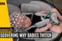 Twitching in premature human infants: Introductory video