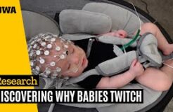 Twitching in premature human infants: Introductory video